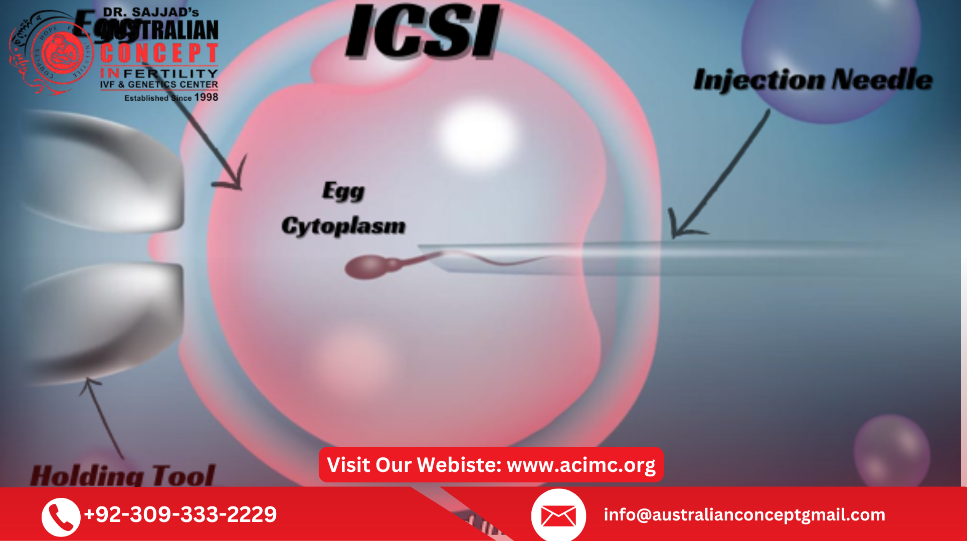 ICSI Treatment